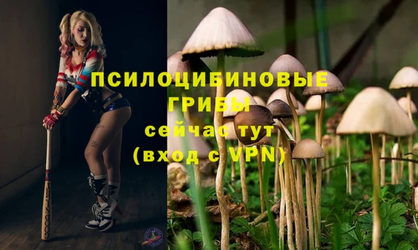 дмт Абдулино