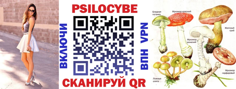 дарнет шоп  kraken вход  shop Telegram  Судогда  Галлюциногенные грибы мухоморы 